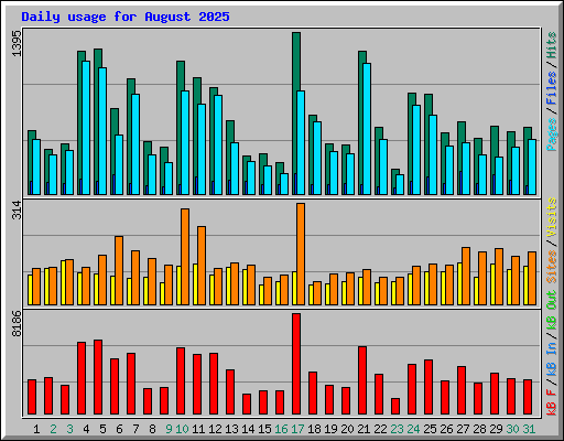 Daily usage for August 2025