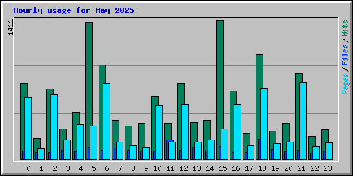 Hourly usage for May 2025