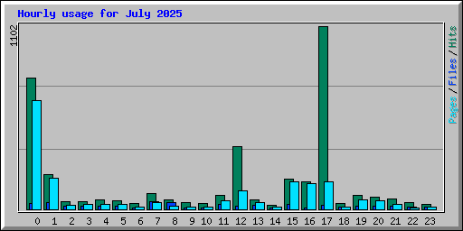 Hourly usage for July 2025