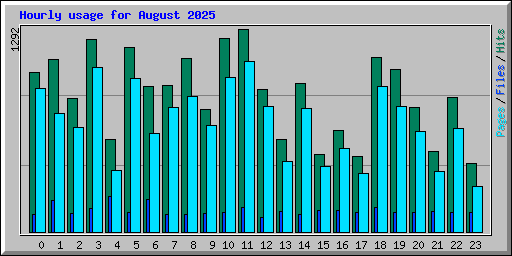 Hourly usage for August 2025