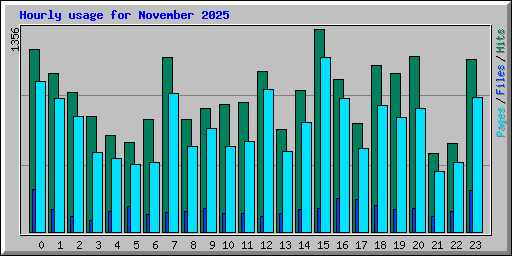 Hourly usage for November 2025